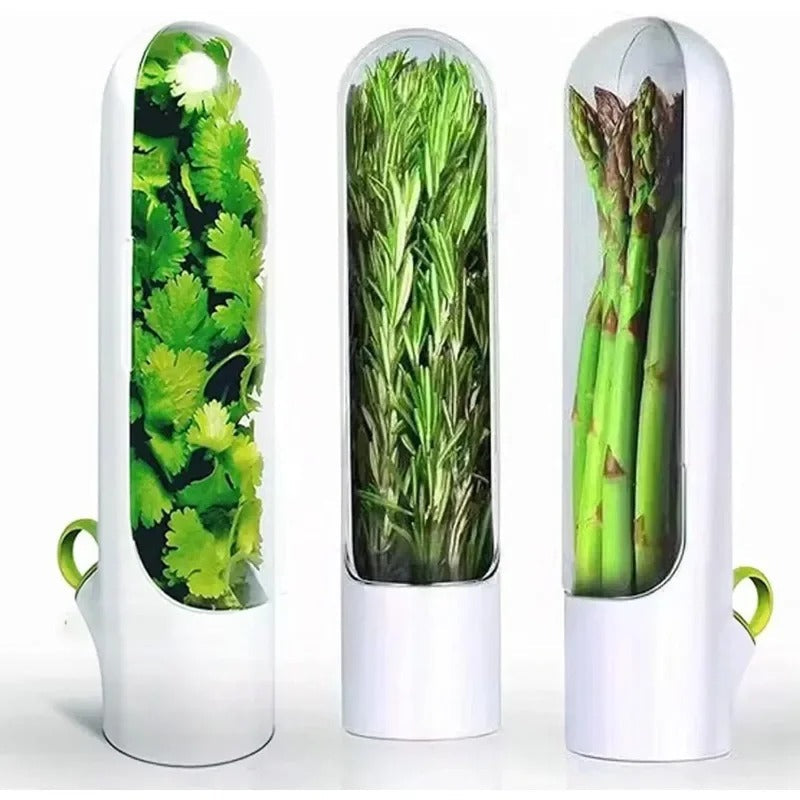 Herb Saver Storage Container – Premium Quality Fresh Herb Keeper