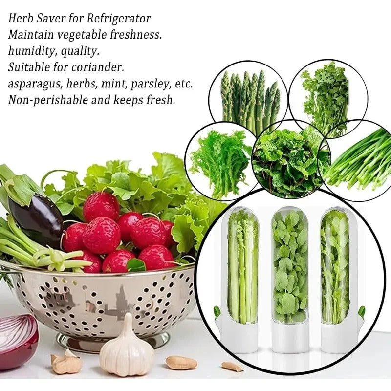 Herb Saver Storage Container – Premium Quality Fresh Herb Keeper