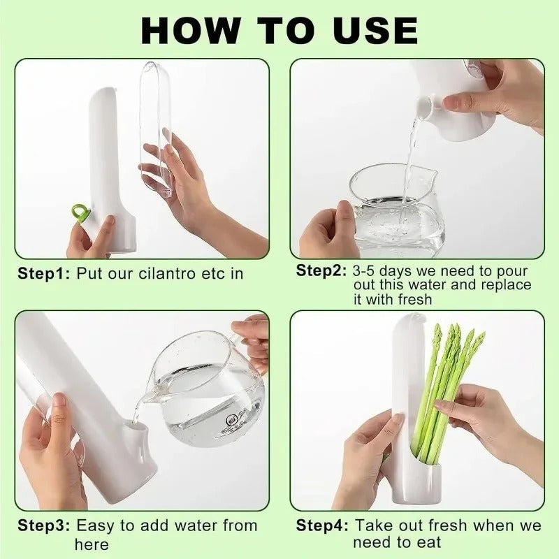 Herb Saver Storage Container – Premium Quality Fresh Herb Keeper