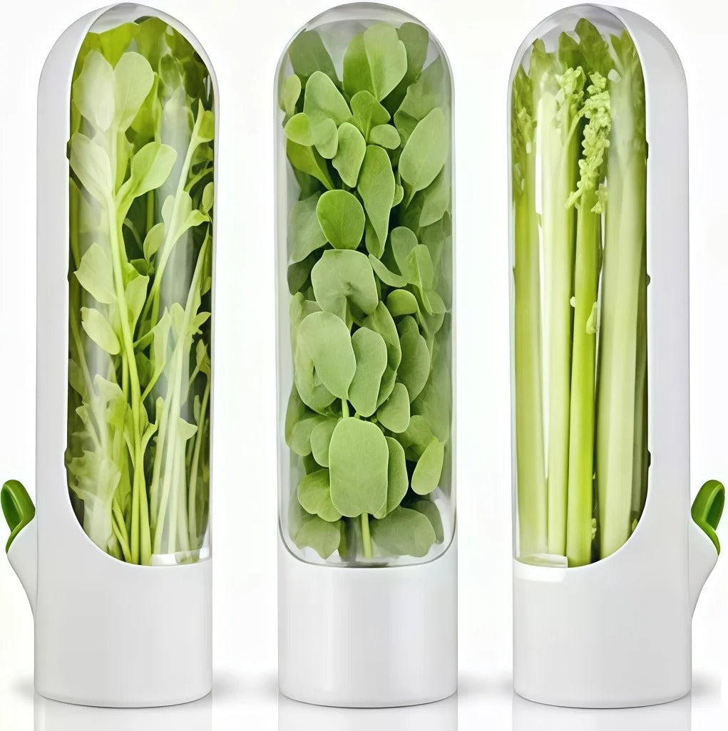 Herb Saver Storage Container – Premium Quality Fresh Herb Keeper